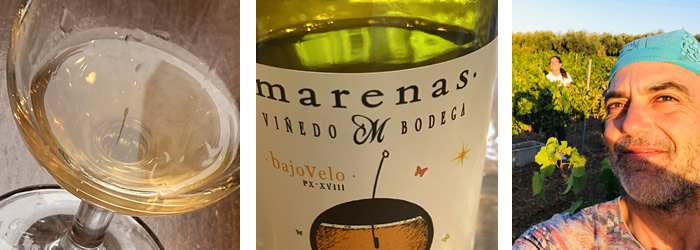 スペインアンダルシア州コルドバが生んだ魅惑の白ワイン